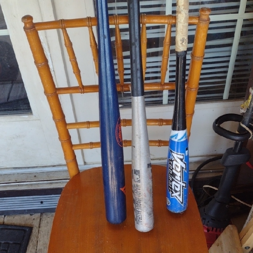 Blue and Silver Baseball Bats(3)